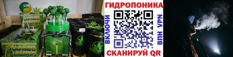 Купить закладки  Жуковский  Еда ТГК конопля 