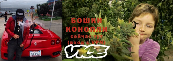 амф Елабуга