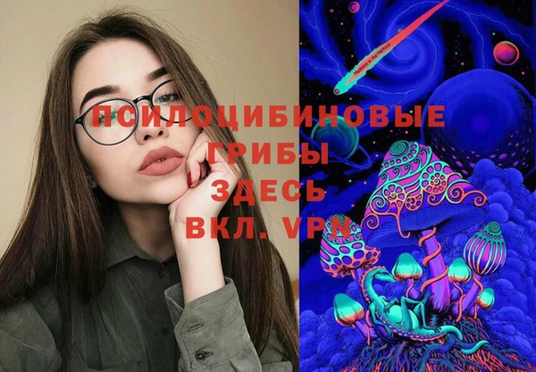 амф Елабуга
