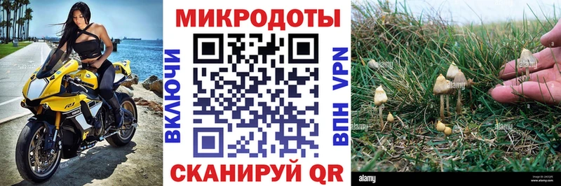 Галлюциногенные грибы MAGIC MUSHROOMS  Купить закладки  Жуковский 