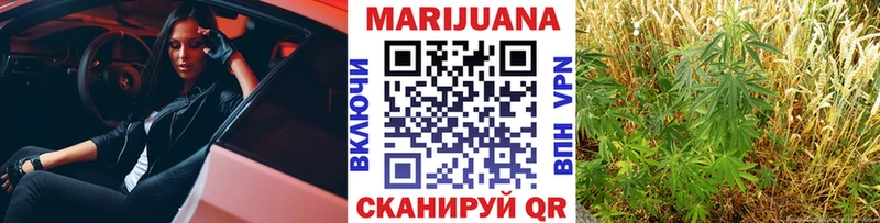 Купить где  Жуковский  Конопля семена 